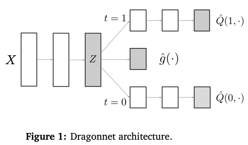 dragonnet_structure.png